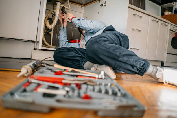 Best Affordable Plumber Near Me  in Cedar Springs, MI