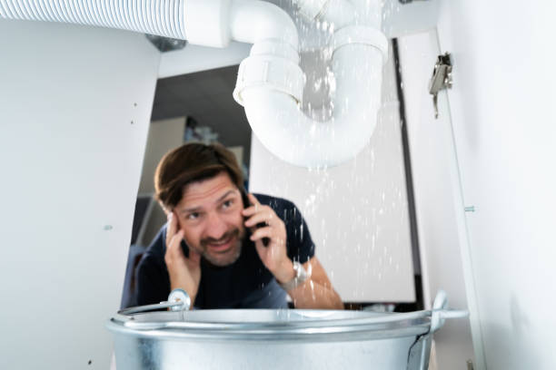 Best Plumbing Inspection Services  in Cedar Springs, MI