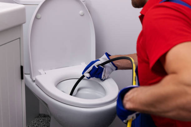 Best Affordable Plumbing Services  in Cedar Springs, MI