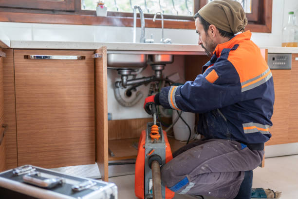 Best Residential Plumbing Services  in Cedar Springs, MI