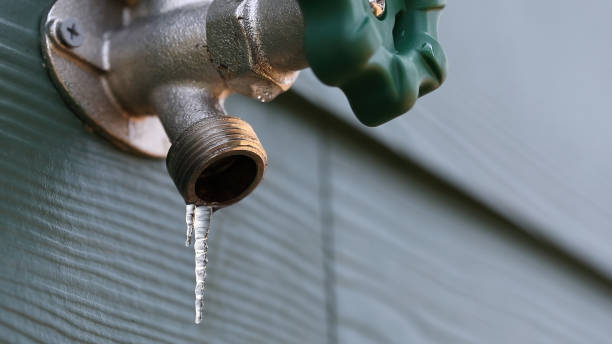 Best Water Softener Installation  in Cedar Springs, MI