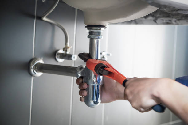 Best Same-Day Plumbing Service  in Cedar Springs, MI