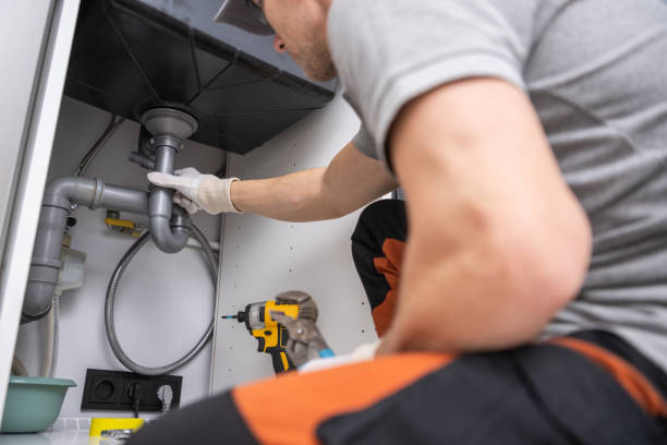 Best Plumbing Installation Services  in Cedar Springs, MI