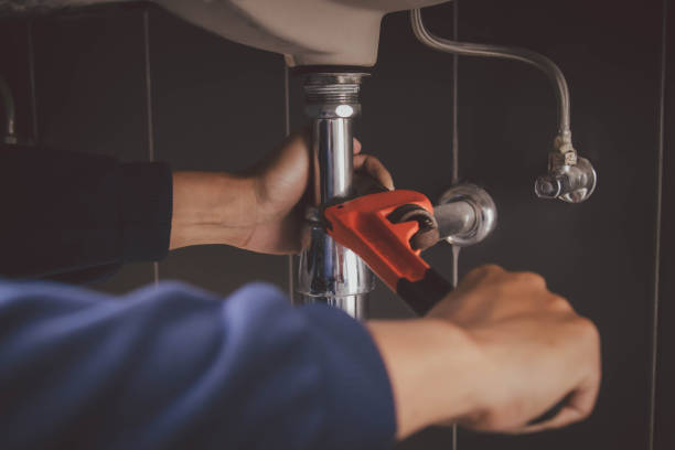 Best Commercial Plumbing Services  in Cedar Springs, MI